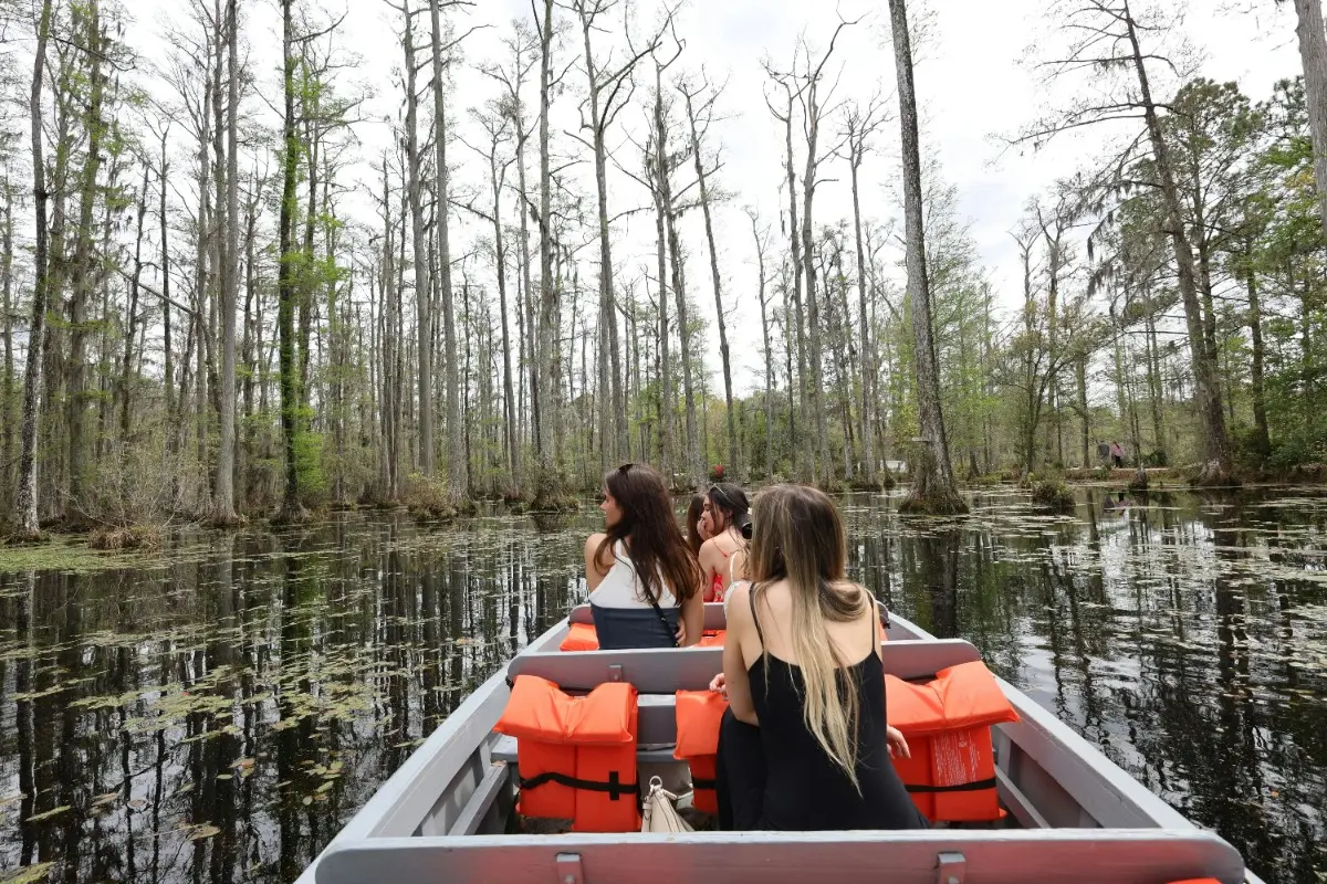 Swamp tours & airboat rides