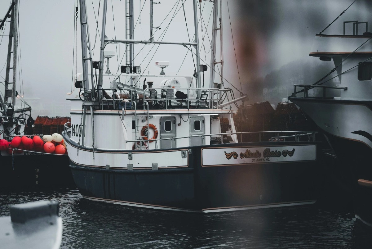 Fishing charters