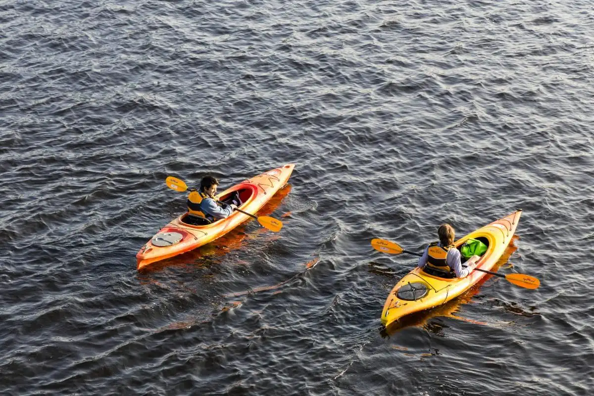 Kayaking in bayous