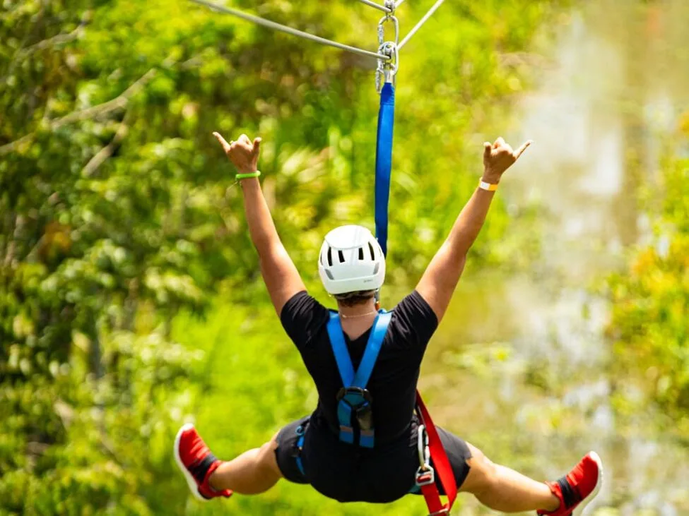 Swamp Zipline