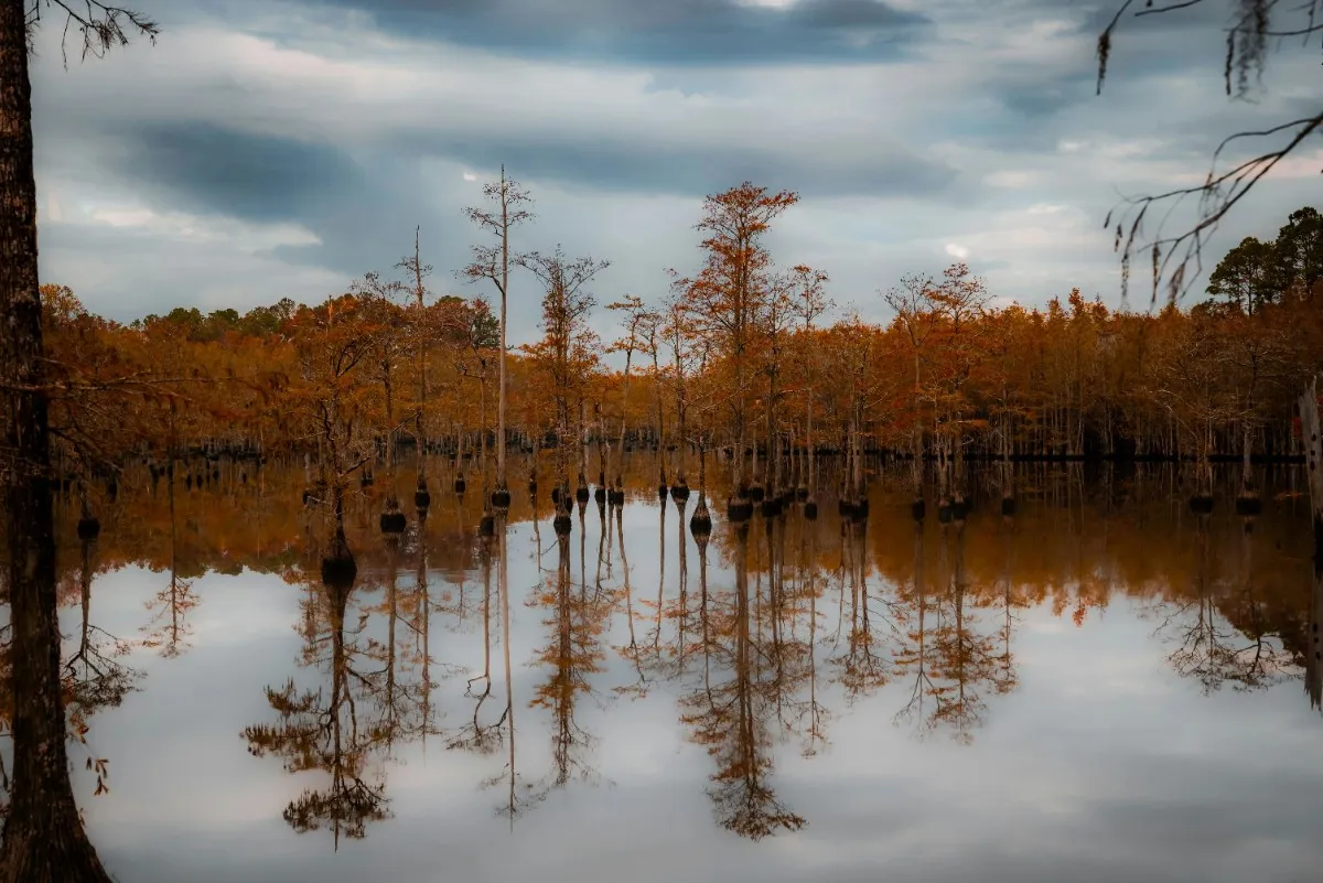Why Louisiana Is the Perfect Destination for Your Next Vacation 